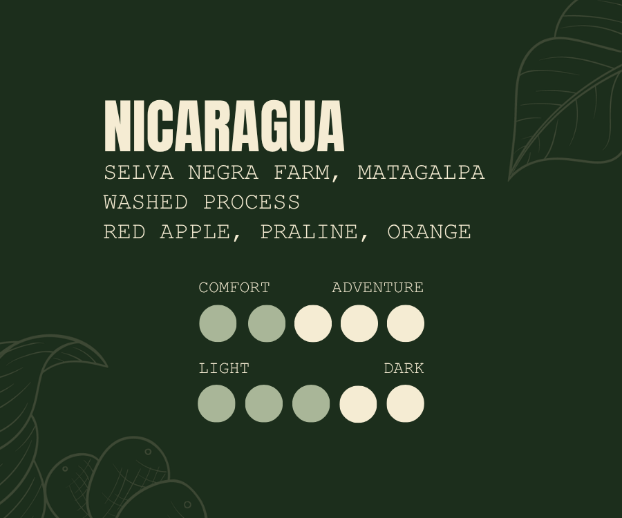 Selva Negra | Nicaragua