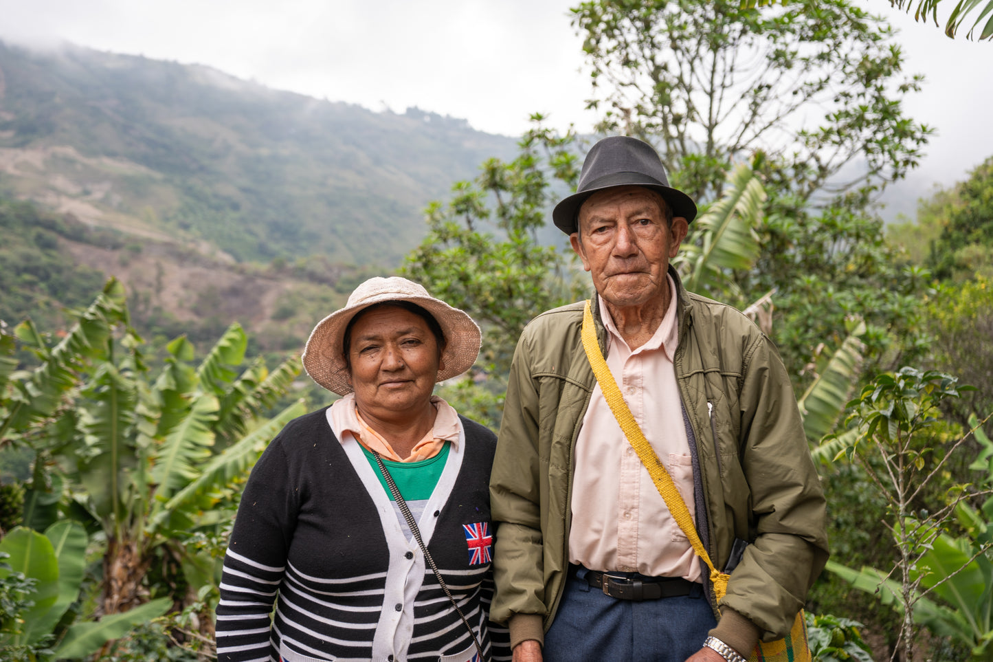 Toucan Series 2.0 │ Colombia Pompeya Geisha Washed
