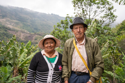 Toucan Series 2.0 │ Colombia Pompeya Geisha Washed