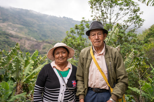 Toucan Series 2.0 │ Colombia Pompeya Geisha Washed