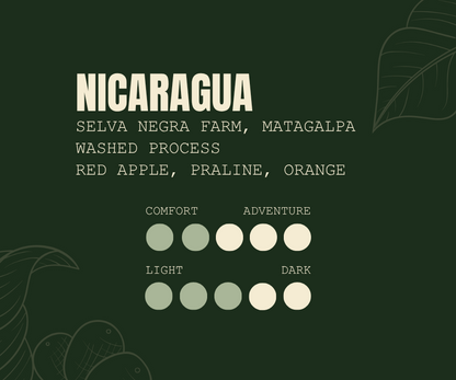 Selva Negra | Nicaragua